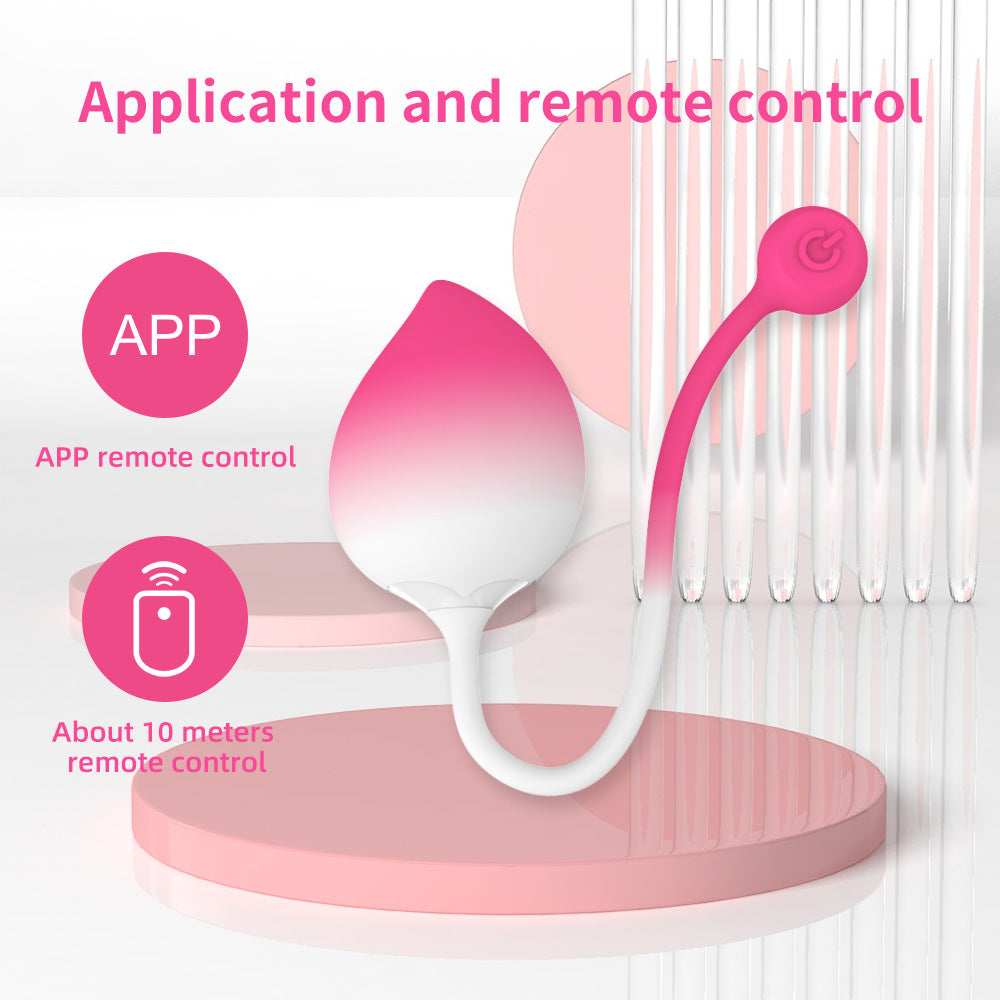 Wearable Peach Shape Vibrator APP Remote Control Panty Vibrators Adult Toys for Woman